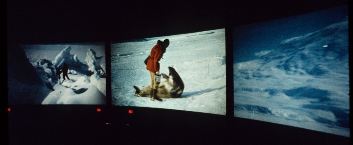 films-polar life13